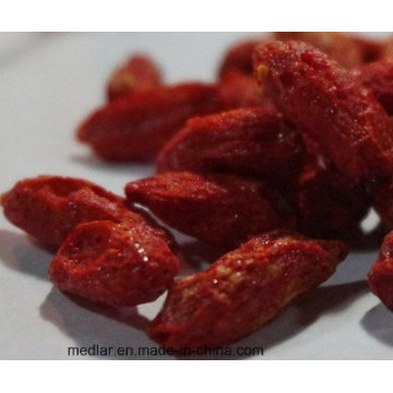 Freeze-Dry Goji Berry in Ningxia